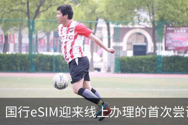 国行eSIM迎来线上办理的首次尝试